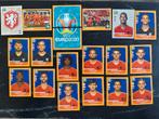 Panini Euro 2020 Voetbalplaatjes - Nederlands Elftal, Ophalen of Verzenden, Nieuw, Overige binnenlandse clubs, Spelerskaart
