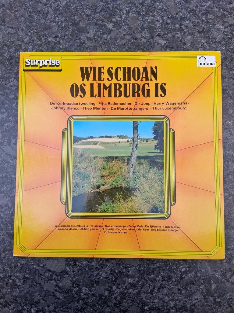 Wie Schoan Os Limburg Is - Diverse Artiesten LP, Gebruikt, Ophalen of Verzenden, 1970 - 1979, Complilatie