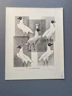 Hans van Dokkum – De Chefkokmeeuw – eigen druk – gesigneerd, Antiek en Kunst, Ophalen