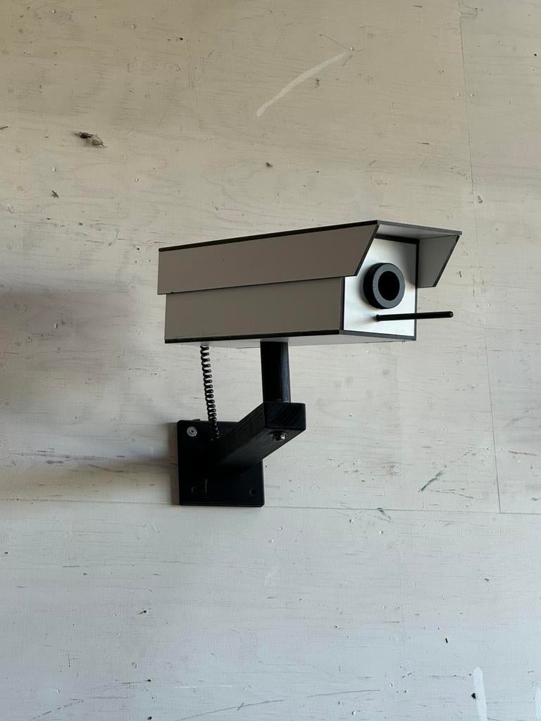 Uniek camera vogelhuis, Tuin en Terras, Vogelhuisjes en Vogelbaden, Ophalen of Verzenden, Nieuw