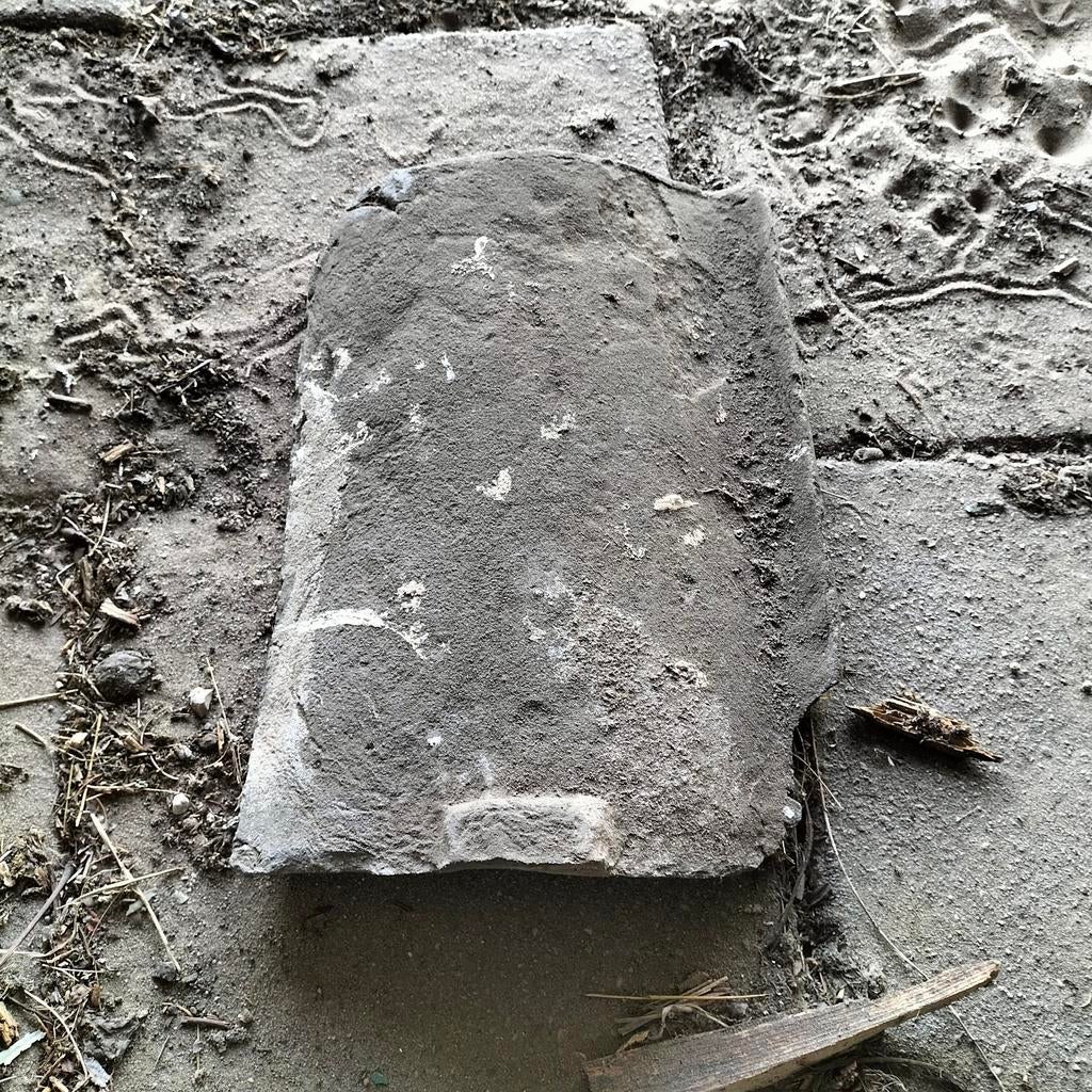 Oud Hollandse pannen ongeveer 500 stuks, Ophalen, Gebruikt, Steen of Klei, 15 m² of meer