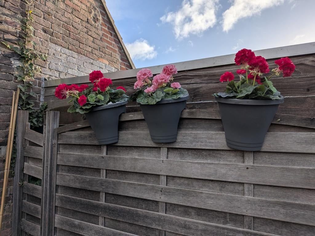 set van 3 Elho Green Basics Flower Bridge balkonbakken, Ophalen, Nieuw, Kunststof