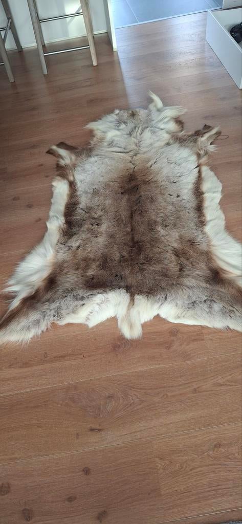 Rendiervacht, Ophalen of Verzenden, Rechthoekig, 100 tot 150 cm, 50 tot 100 cm