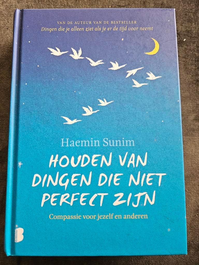Boek "Houden van dingen die niet perfect zijn", Boeken, Ophalen of Verzenden, Nieuw