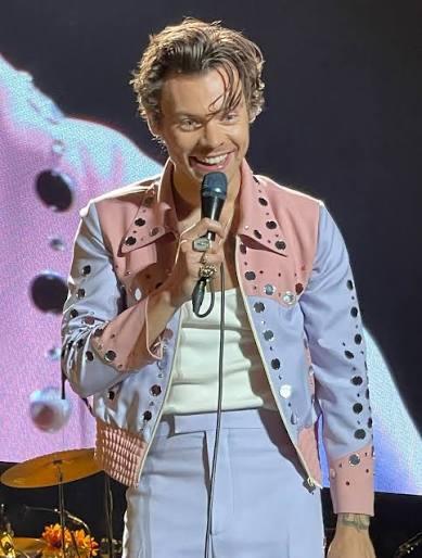 Twee zitplaatsen vak 105 Harry Styles 29/05/2026, Tickets en Kaartjes, Twee personen, Mei
