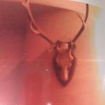 Hertegewei, Ophalen, Zo goed als nieuw, Hert, Gewei of Kop