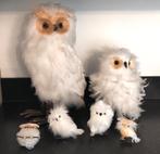 6 mooie  UILEN in diverse maten Met echte veren, Ophalen of Verzenden, Zo goed als nieuw, Vogel, Overige typen