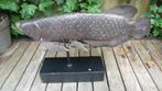 Dit bronzen beeld stelt een Arowana-vis,( japan ), Ophalen of Verzenden