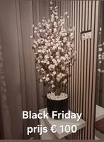 Bloesemboom nieuw, Ophalen, Nieuw