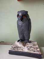 gipsen beeld Uil op boek, Antiek en Kunst, Kunst | Beelden en Houtsnijwerken, Ophalen of Verzenden
