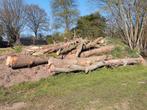 Boomstammen, Tuin en Terras, Haardhout, Ophalen
