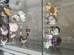 Mineralen verzameling, Ophalen