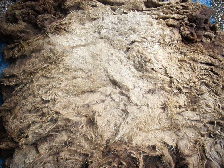 schapenvachten vachtvilten wol schapenwol vachten vilt, Hobby en Vrije tijd, Knutselen, Nieuw, Ophalen of Verzenden