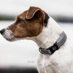 KENTUCKY Reflective Halsband XS Nekomtrek 25-38 cm KOOPJE!!!, Dieren en Toebehoren, Ophalen of Verzenden, Nieuw