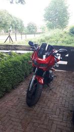 YAMAHA Fzs 600 Fazer, Motoren, Motoren | Yamaha, 4 cilinders, Particulier, Toermotor, 600 cc