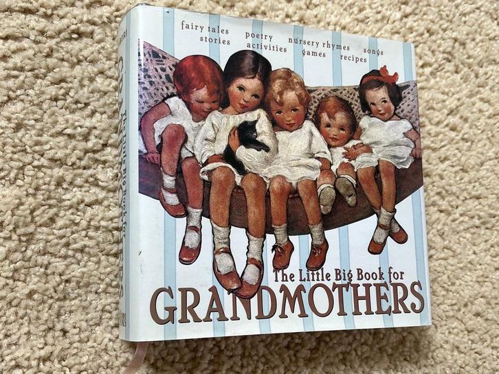 Boek voor grootrmoeders, Boeken, Overige Boeken, Ophalen of Verzenden