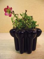 persglas cactuspotjes, Antiek en Kunst, Ophalen of Verzenden