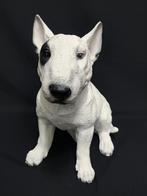 Bulterriër hond beeld origineel gekleurd. Real look, Ophalen, Nieuw, Dier