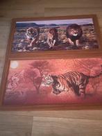 Mooi schilderijen van tijgers en leeuwen, Ophalen, Zo goed als nieuw, Schilderij, Minder dan 50 cm