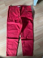 Broek  (Rood/Maat:42), Ncompany, Maat 42/44 (L), Ophalen of Verzenden, Zo goed als nieuw