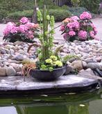 Massief glazen schalen- keuze uit  5 verschillende, Niet ingevuld, Niet ingevuld, Niet ingevuld