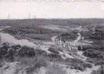 Blankenberge. België., Verzenden, 1940 tot 1960, Gelopen, België en Luxemburg