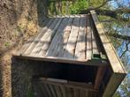 varkensstal, Dieren en Toebehoren, Schapen, Geiten en Varkens, Vrouwelijk, Geit