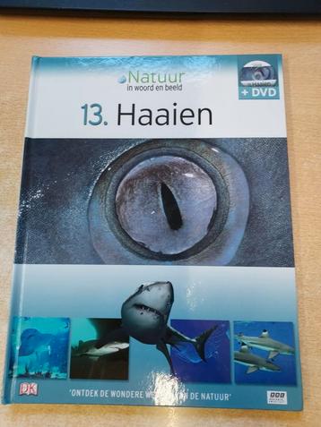 Haaien beschikbaar voor biedingen