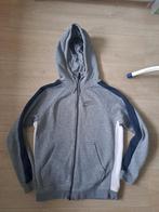 Hoodie Nike, Ophalen of Verzenden, Zo goed als nieuw, Maat 46 (S) of kleiner, Nike