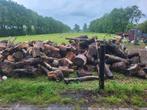 Brandhout, Tuin en Terras, Haardhout, 6 m³ of meer, Ophalen, Blokken