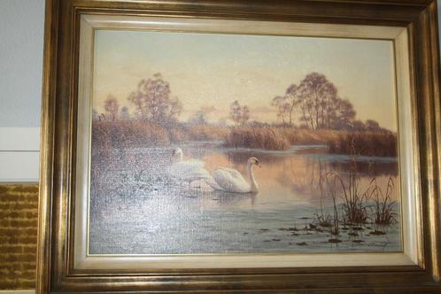 Schilderij Ron Meilof, Zwanen., Antiek en Kunst, Kunst | Schilderijen | Klassiek, Ophalen
