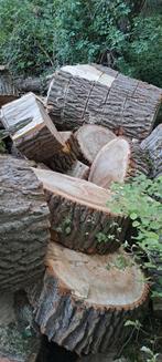 Gereserveerd - schijven hout., Tuin en Terras, Haardhout, Ophalen of Verzenden, Overige houtsoorten