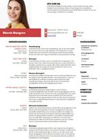 Professioneel CV laten maken, Contacten en Berichten