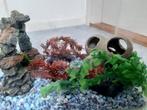 Aquarium afmeting 35 bij 22 cm hoogte 25 CM inclusief alle b, Ophalen of Verzenden, Zo goed als nieuw, Leeg aquarium