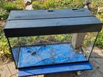 Jewel rio 125 liter 80x35x50cm, Ophalen, Gebruikt, Leeg aquarium