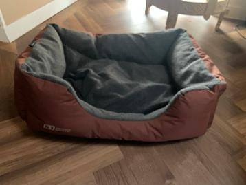 Hondemand beschikbaar voor biedingen