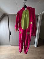 Carnavals pak, Ophalen of Verzenden, Gebruikt, 134 t/m 140, Jongen of Meisje