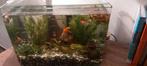 Aquarium, Dieren en Toebehoren, Vissen | Aquaria en Toebehoren, Ophalen, Leeg aquarium