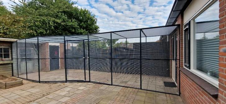 poezen en katten rennen, Dieren en Toebehoren, Katten-accessoires, Nieuw, Ophalen of Verzenden