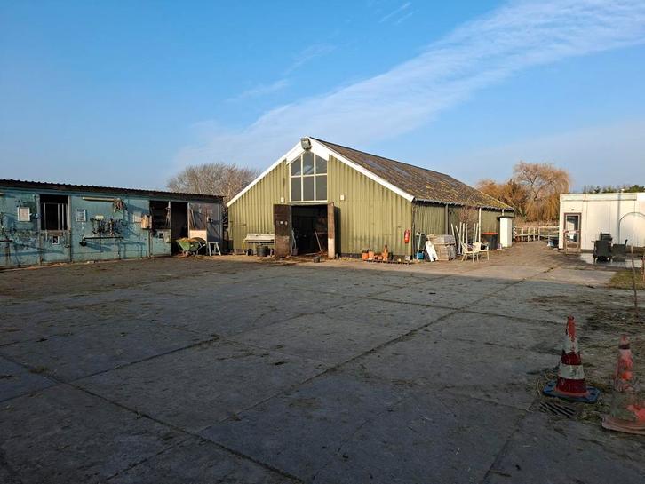 PensionStalling en weidegang, Dieren en Toebehoren, Stalling en Weidegang, Stalling, Weidegang