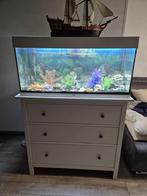 Aquarium, Ophalen of Verzenden, Zo goed als nieuw, Leeg aquarium