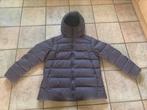 Nieuwe lichtgewicht donsjas Arcteryx Thorium Woman (maat XL), Maat 42/44 (L), Nieuw, Ophalen of Verzenden, Paars