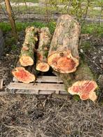 Taxus stammen voor de houtbewerking, Minder dan 3 m³, Ophalen
