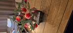 Kleine Bonsaiboom peach tree, Antiek en Kunst, Ophalen of Verzenden