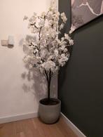 Kersenbloesem Kunstplant 160cm, Huis en Inrichting, Woonaccessoires | Kunstplanten en Kunstbloemen, Ophalen, Zo goed als nieuw