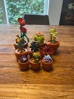 Lego Icons Tiny Plants 10329, Ophalen of Verzenden, Zo goed als nieuw, Complete set, Lego