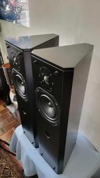 Dutch Design DRIADE7 compacte zuilen, Audio, Tv en Foto, Luidsprekers, Zo goed als nieuw, 60 tot 120 watt, Front, Rear of Stereo speakers