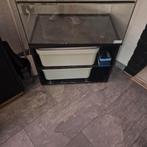 Queenies terrarium, Dieren en Toebehoren, Reptielen en Amfibieën | Toebehoren, Ophalen, Gebruikt, Terrarium of Paludarium