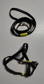 Tuigje & Riem, Dieren en Toebehoren, Ophalen of Verzenden, Nieuw, Hondenriem-accessoire