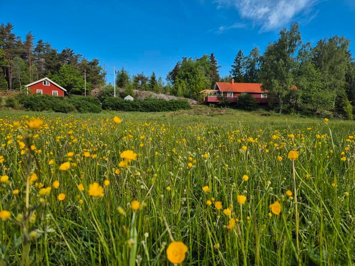 Zweden: Charmant rood houten huis met 2,4 hectare grond., Huizen en Kamers, Buitenland, Overig Europa, Woonhuis, Landelijk